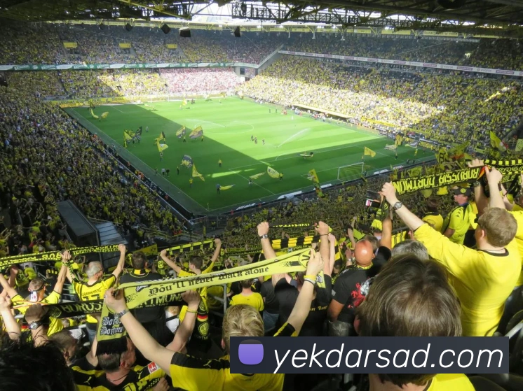 奇异果体育发展历程